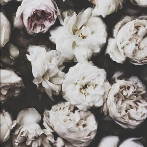 Meet your Posher, Brittney